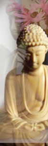 Buddha Mindfulness Difficulties
